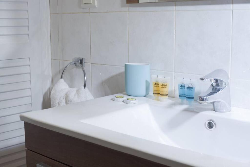 Palaio Faliro, A Bright And Spacious Apartment 雅典 外观 照片